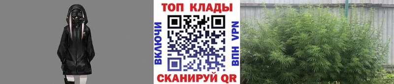 Все наркотики Нытва Cocaine СОЛЬ Галлюциногенные грибы Мефедрон ГАШИШ АМФ