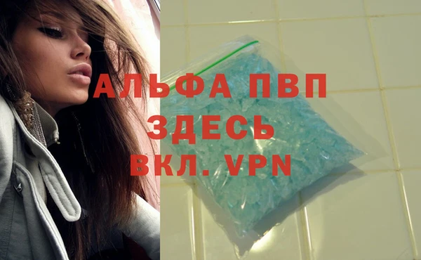 PSILOCYBIN Новокубанск