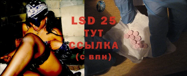 PSILOCYBIN Новокубанск