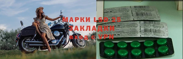 PSILOCYBIN Новокубанск
