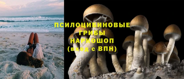 прущая мука Новодвинск