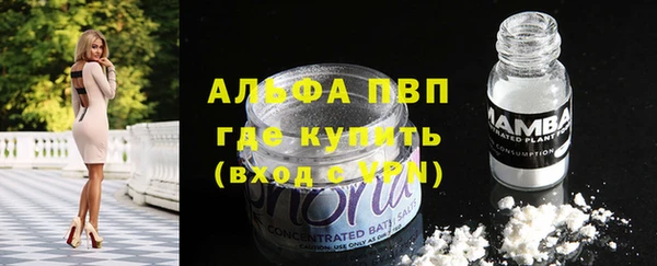 прущая мука Новодвинск